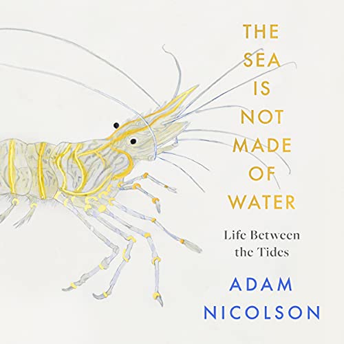 Life Between the Tides