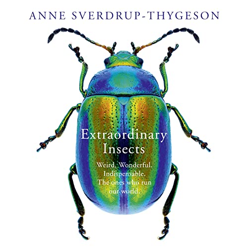 Extraordinary Insects by Anne Sverdrup-Thygeson