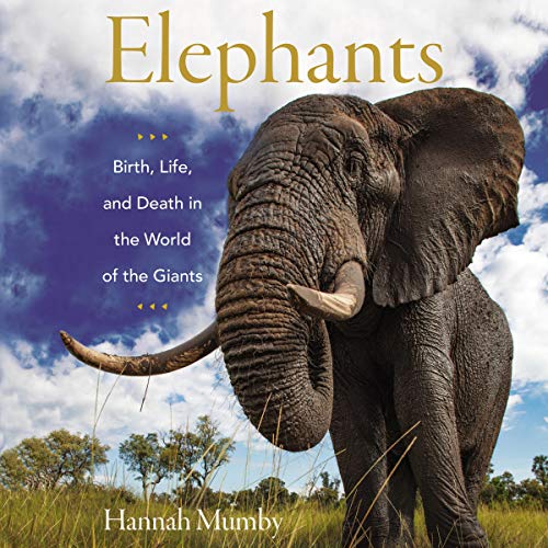Elephants by Hannah Mumby