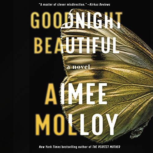 Goodnight Beautiful by Aimee Molloy