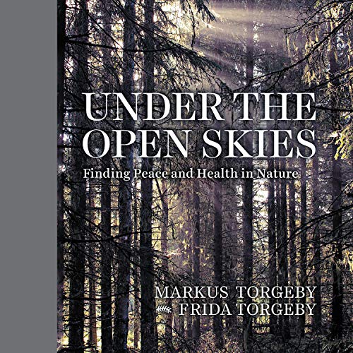 Under the Open Skies by Markus Torgeby