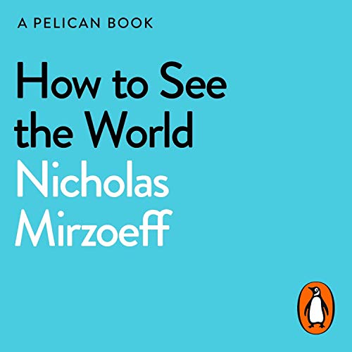 How to See the World by Nicholas Mirzoeff