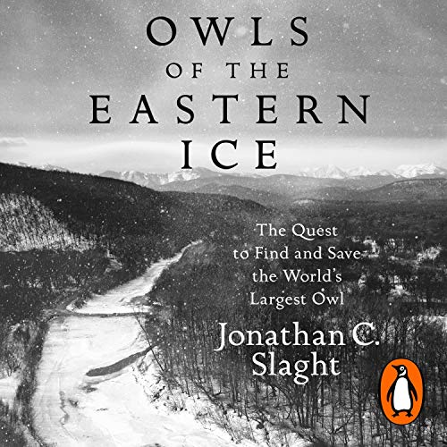 Owls of the Eastern Ice