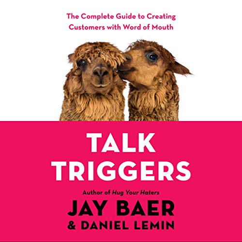 Talk Triggers by Jay Baer