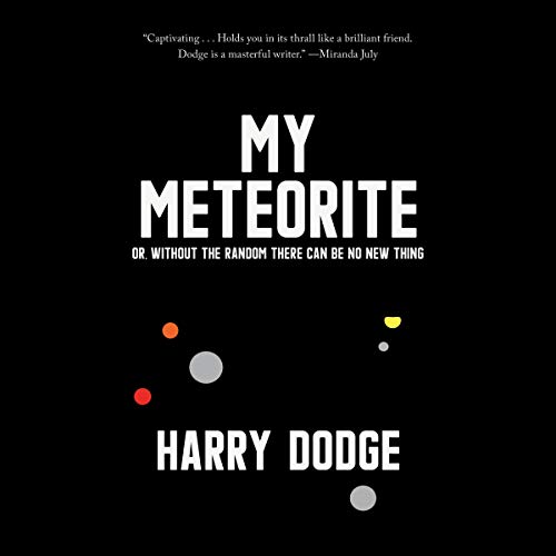 My Meteorite by Harry Dodge