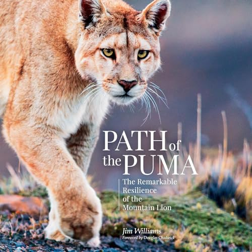 Path of the Puma by Jim Williams