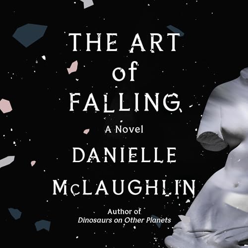 The Art of Falling by Danielle McLaughlin