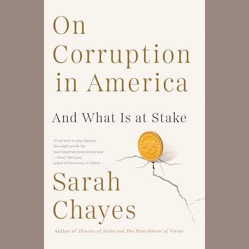 On Corruption in America by Sarah Chayes