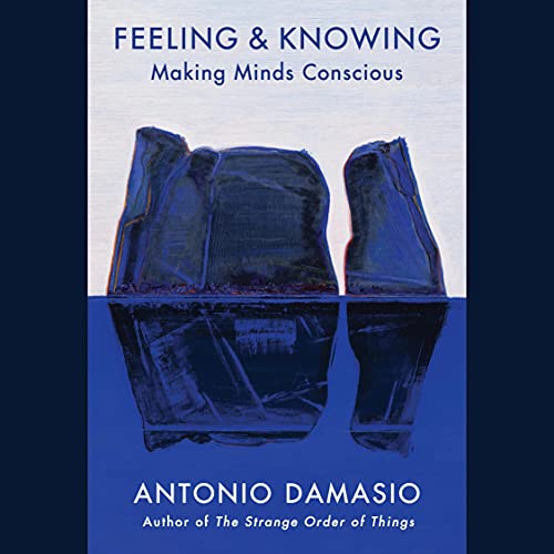 Feeling &amp; Knowing by Antonio Damasio