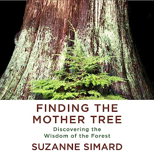 Finding the Mother Tree by Suzanne Simard