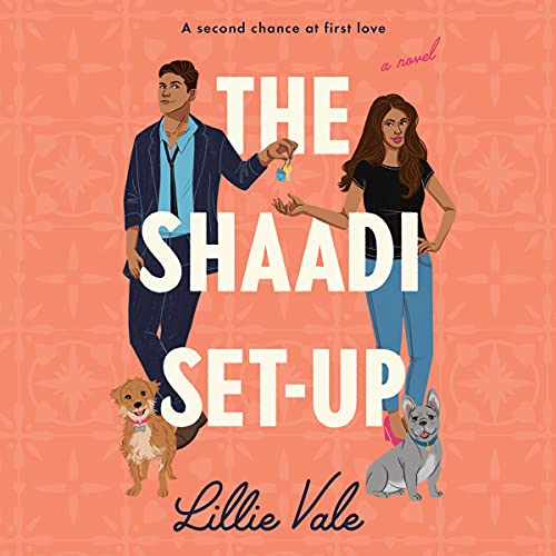 The Shaadi Set-Up by Lillie Vale