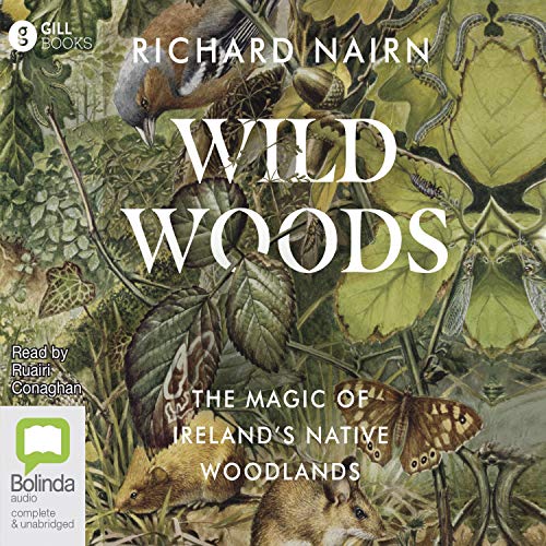 Wildwoods by Richard Nairn