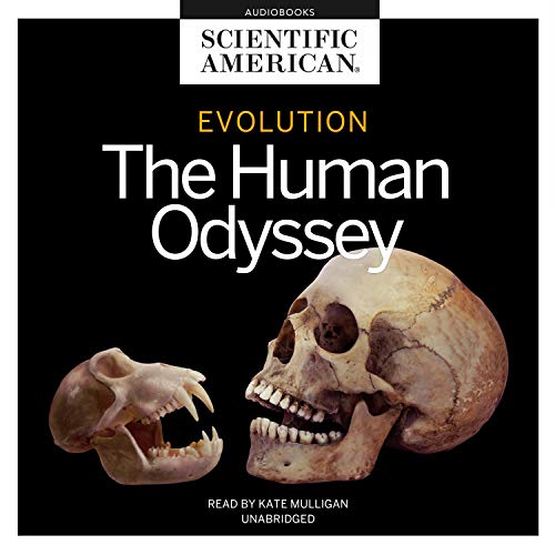 Evolution by Scientific American