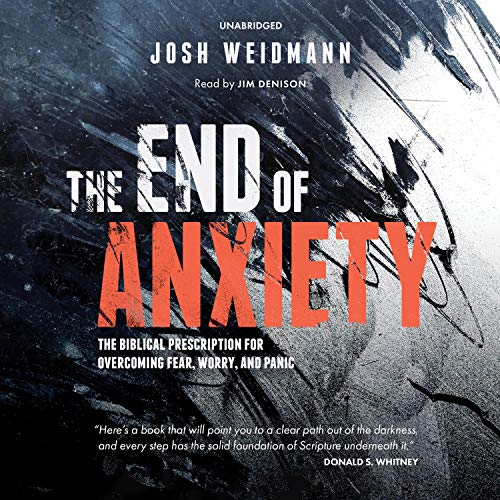 The End of Anxiety by Josh Weidmann