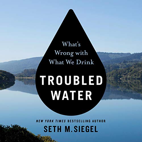 Troubled Water by Seth M. Siegel