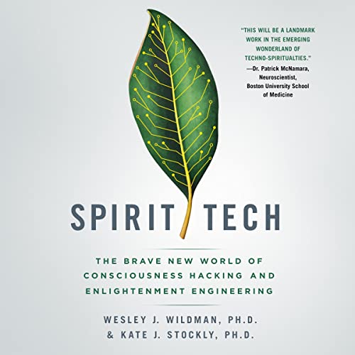 Spirit Tech by Wesley J. Wildman