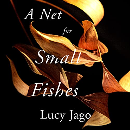 A Net for Small Fishes by Lucy Jago