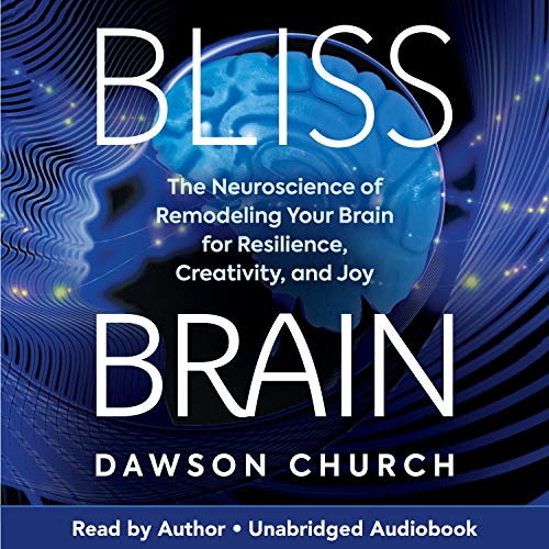 Bliss Brain by Dawson Church