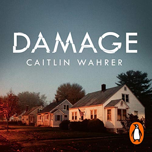 Damage by Caitlin Wahrer