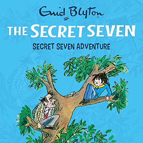 Secret Seven Adventure by Enid Blyton