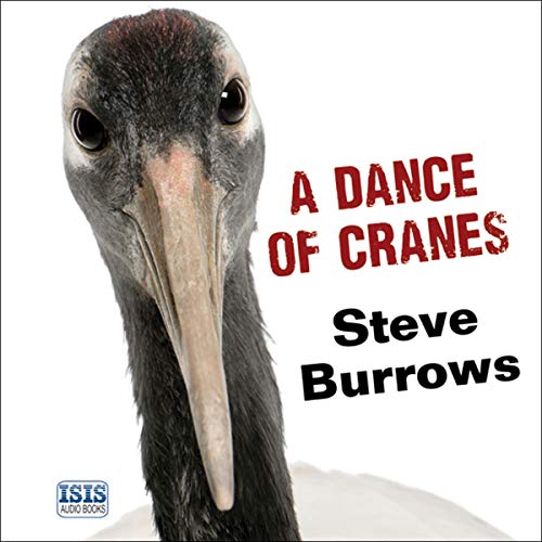 A Dance of Cranes by Steve Burrows