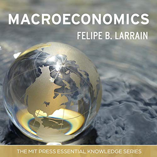 Macroeconomics by Felipe B. Larrain