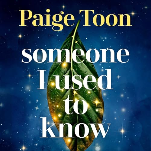 Someone I Used to Know