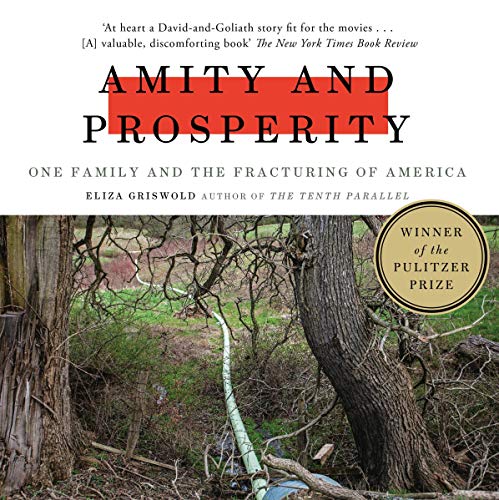 Amity and Prosperity by Eliza Griswold
