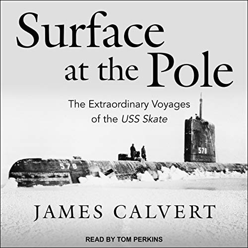 Surface at the Pole by James Calvert