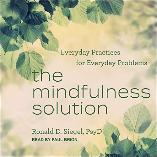 The Mindfulness Solution by Ronald D. Siegel PsyD