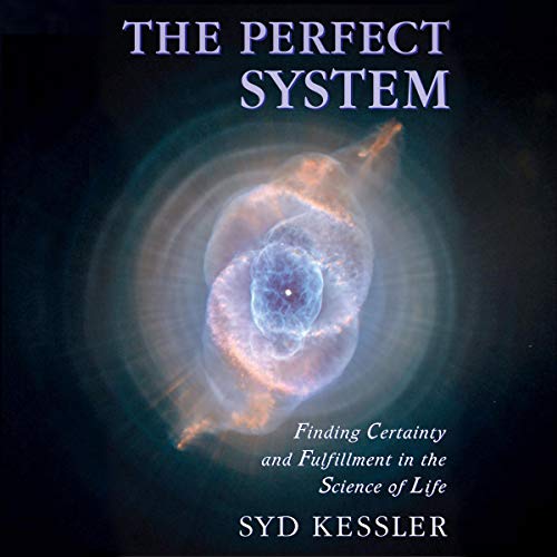 The Perfect System by Syd Kessler