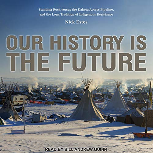 Our History Is the Future by Nick Estes