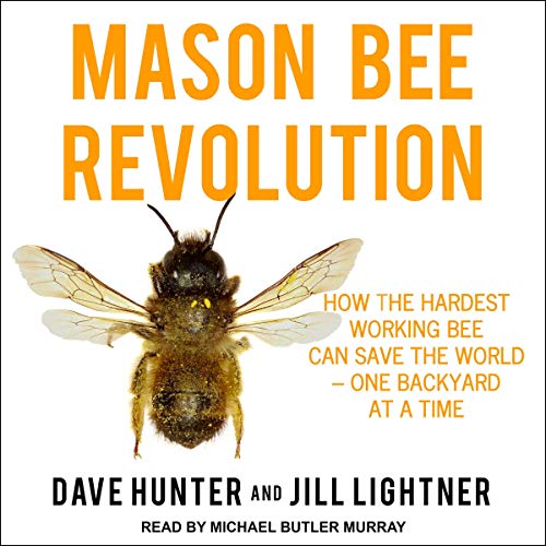 Mason Bee Revolution by Dave Hunter