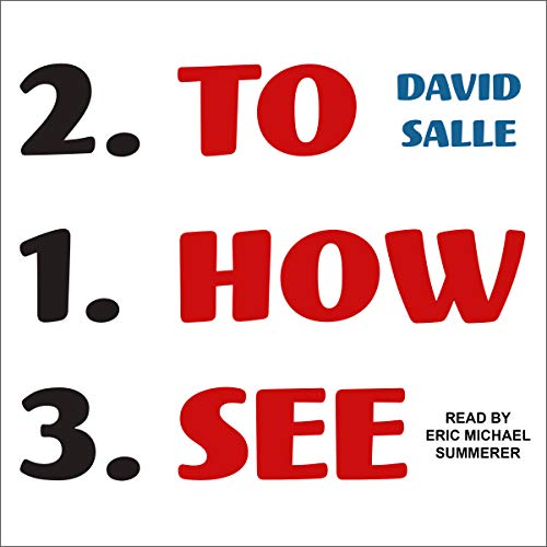 How to See by David Salle