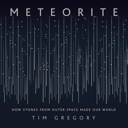 Meteorite