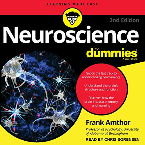 Neuroscience for Dummies, 2nd Edition by Frank Amthor