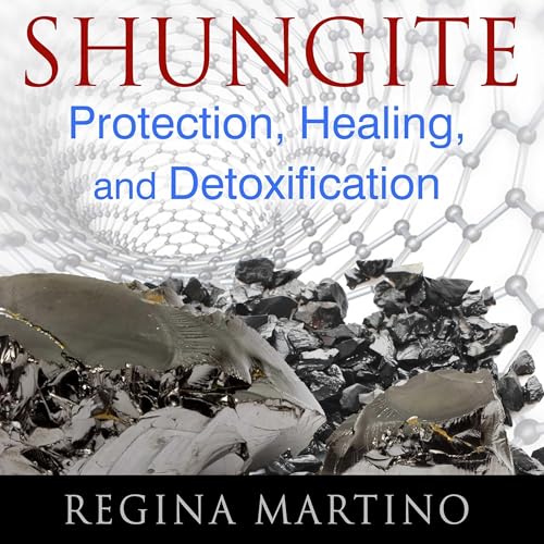 Shungite by Regina Martino