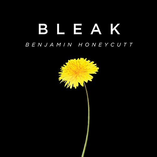 Bleak by Benjamin Honeycutt