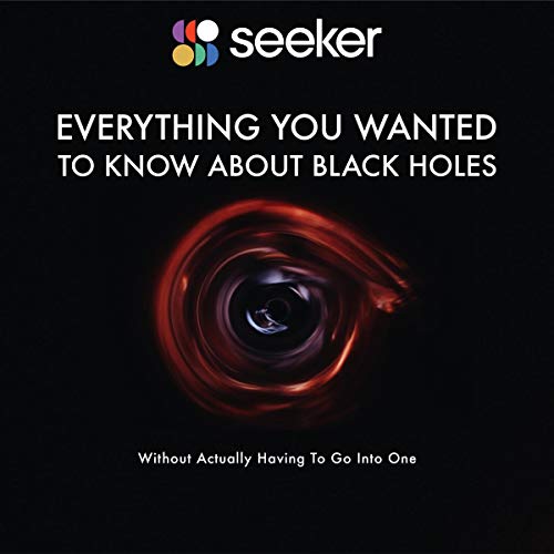 Everything You Wanted to Know About Black Holes