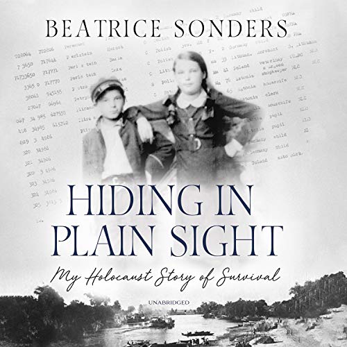 Hiding in Plain Sight by Beatrice Sonders