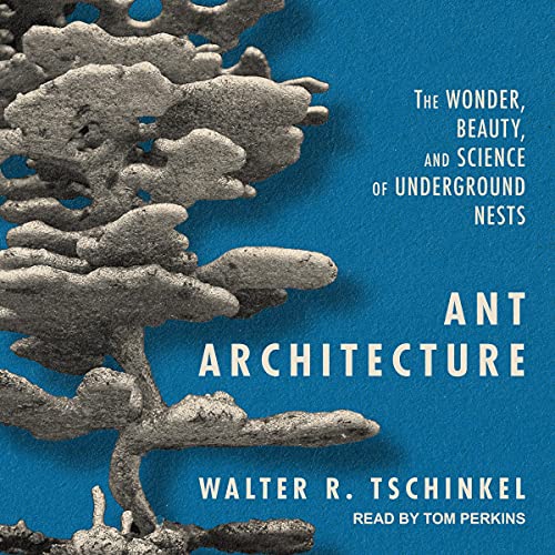 Ant Architecture