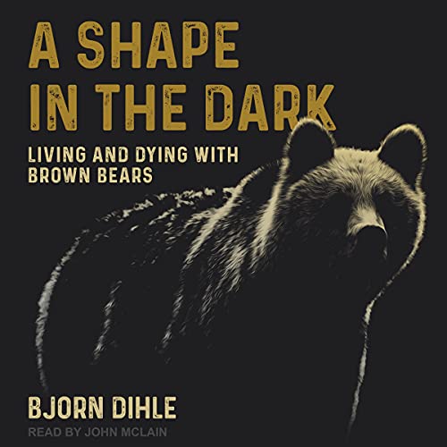 A Shape in the Dark by Bjorn Dihle