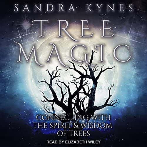 Tree Magic by Sandra Kynes
