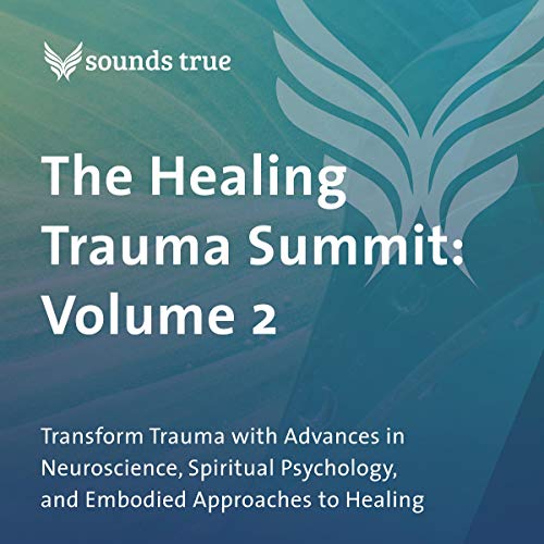 The Healing Trauma Summit: Volume 2 by Bonnie Badenoch PhD LMFT