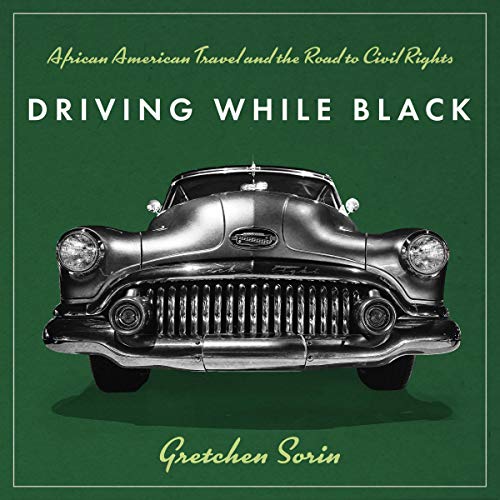 Driving While Black by Gretchen Sorin