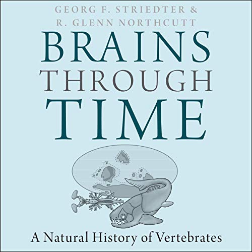 Brains Through Time by Georg F. Striedter