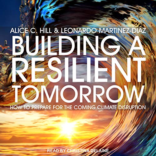 Building a Resilient Tomorrow by Alice C. Hill