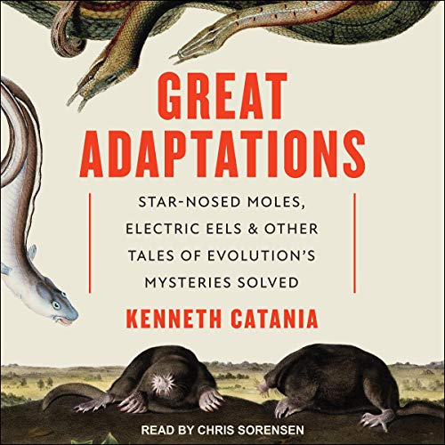 Great Adaptations by Kenneth Catania
