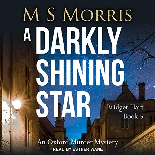 A Darkly Shining Star by M S Morris