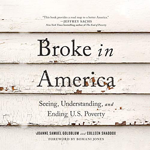 Broke in America by Joanne Samuel Goldblum